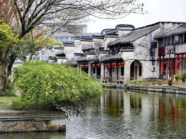 营口“降龙”谜团：骨骼复原接近“真龙”，70年后为何被否定？